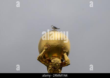 29. August 2023, Brandenburg, Potsdam: Eine Möwe sitzt auf dem vergoldeten Globus der Atlas-Figur im Alten Rathaus. Heute wird es dichte Wolken im Süden und Osten geben und Regen wird sich sowohl in die Mitte als auch in den Nordosten ausbreiten. Lokal kann es zu Gewittern kommen. Nach Angaben des Deutschen Wetterdienstes werden die Temperaturen auf 17 bis 21 Grad ansteigen. Foto: Sebastian Gollnow/dpa Stockfoto