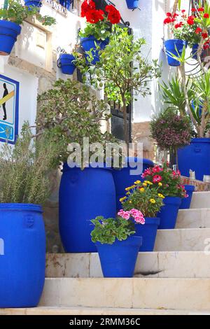 Das Haus mit den blauen Töpfen, kräftigen handbemalten blauen Töpfen steht im Kontrast zu Blumen, Laub und weiß gemalten Ziegelsteinen an Häusern in Alicante, Spanien. Stockfoto