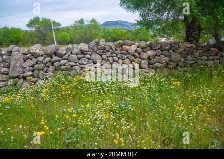 Landschaft. Pinilla del Valle, Provinz Madrid, Spanien. Stockfoto