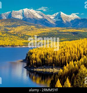 Hungry Horse Reservoir unter HerbstLärche und Gipfel der Flachkopfkette (großer Nordberg und Bergzuschuss) in der Nähe von Hungry Horse, montana Stockfoto