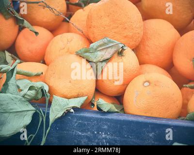 Orangen. Ein Haufen reifer Bio-Orangen mit Blättern auf einem Bauernmarkt Stockfoto
