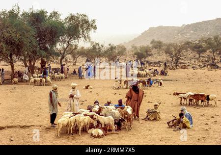 Mali, Segou. Touareg-Ziegenmarkt. Stockfoto