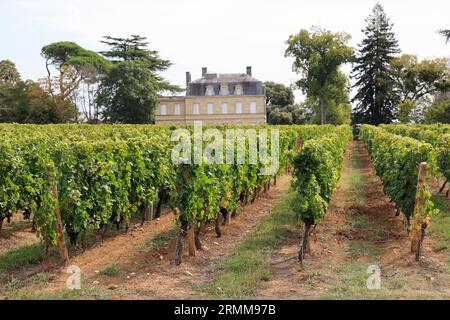 Vigne et vignoble de l’appellation Lussac-saint-emilion. Satellit de Saint-Emilion. Production de vin rouge. Vigne et vignoble des vins de Bordeaux Stockfoto