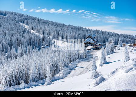 Atemberaubende Wintermärchen-Szene in den Bergen. Die Morgensonne erleuchtet den verschneiten Wald und die Wiese mit ihren Strahlen, die durch den Nebel fließen. Stockfoto