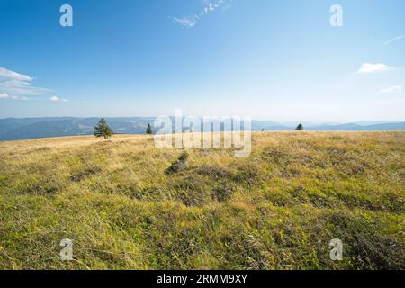 Bilder vom Belchen, einem 1414 m hohen Berg im Schwarzwald. Stockfoto