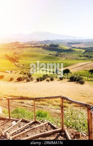 Ländliche Landschaft mit Weinbergen auf Bauernhöfen Stockfoto