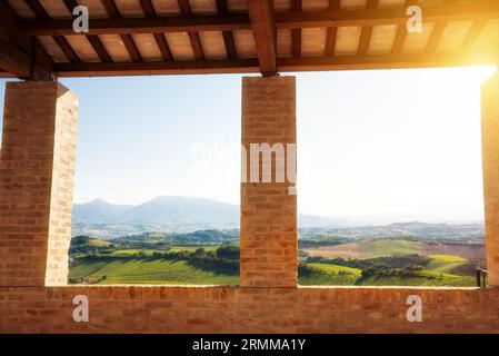 Ländliche Landschaft mit Weinbergen auf Bauernhöfen Stockfoto