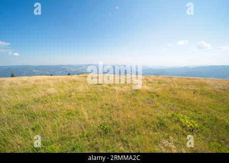 Bilder vom Belchen, einem 1414 m hohen Berg im Schwarzwald. Stockfoto