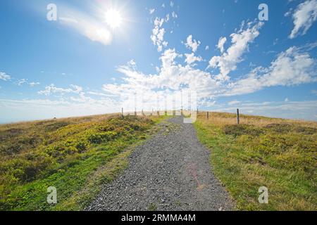 Bilder vom Belchen, einem 1414 m hohen Berg im Schwarzwald. Stockfoto