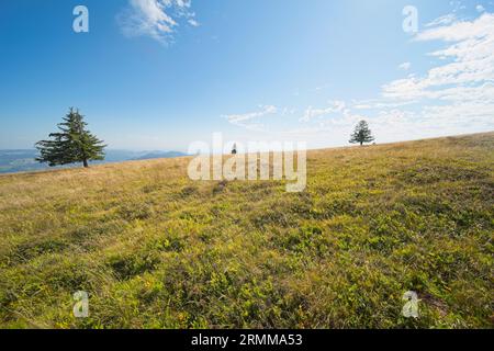 Bilder vom Belchen, einem 1414 m hohen Berg im Schwarzwald. Stockfoto