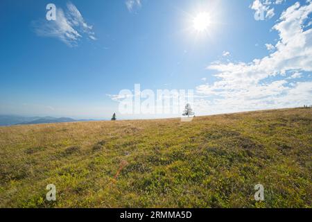Bilder vom Belchen, einem 1414 m hohen Berg im Schwarzwald. Stockfoto