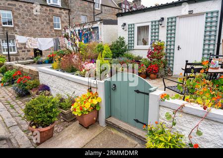 Fischerhäuser mit bunten Pflanzen und Dekorationen im Footdee Sweep, Aberdeen, Schottland. Stockfoto