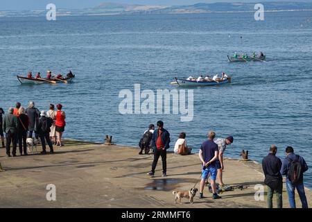 North Berwick Ruderregatta in St. Ayles Skiffs Stockfoto