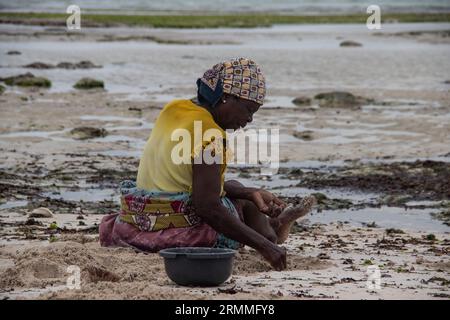 Eine Gruppe von Frauen aus einem kleinen afrikanischen Dorf in Mosambik am Ufer des Indischen Ozeans sammelt bei Ebbe bunte Steine und Muscheln Stockfoto