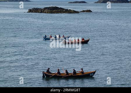 North Berwick Ruderregatta in St. Ayles Skiffs Stockfoto