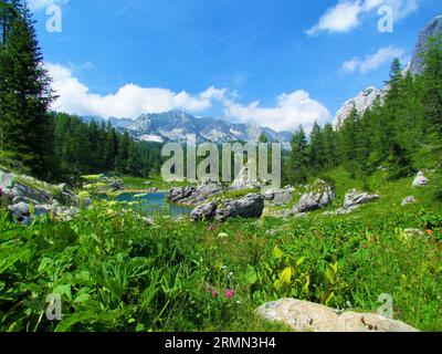 Malerischer Blick auf den Doppelsee im Triglav-Seental im Triglav-Nationalpark und die Julischen alpen, Slowenien mit weißen und violetten Blumen im Fro Stockfoto