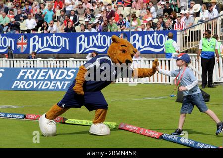 Birmingham Bears Cricket Maskottchen Stockfoto