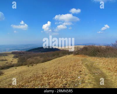 Hänge unter dem Hügel Vremscica in der slowenischen Region Primorska, bedeckt mit trockenen Graswiesen und Buchen- und Kiefernwäldern Stockfoto