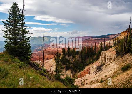 Die wunderschönen Klippen und Farben von Cedar Breaks National Monument.in Cedar City, Utah. USA. Die Formationen stammen aus 60 Millionen Jahren. Stockfoto