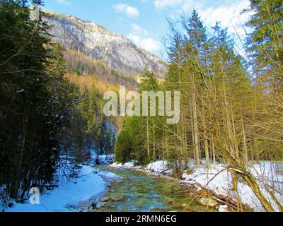 Malerischer Blick auf den Fluss, der durch das Vrata-Tal im Triglav-Nationalpark fließt, die Julischen alpen, Gorenjska Slowenien und sonnenbeschienene Hänge über dem Tal Stockfoto