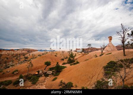 Die dramatische Landschaft des Bryce Canyon National Park. Wind, Wetter, Wasser und Ewigkeiten der Zeit haben ein Naturwunder geschaffen. Stockfoto