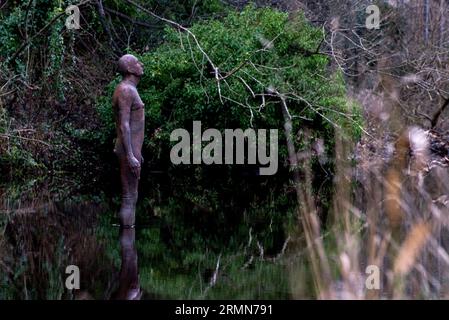 Eine von Sir Antony Gormleys '6-mal'-Skulpturen im Wasser von Leith hinter der Gallery of Modern Art, Edinburgh, Schottland. GROSSBRITANNIEN. Stockfoto