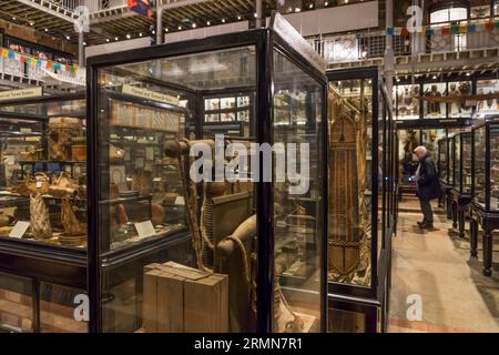 Vitrinen im Pitt Rivers Museum, Oxford. Stockfoto