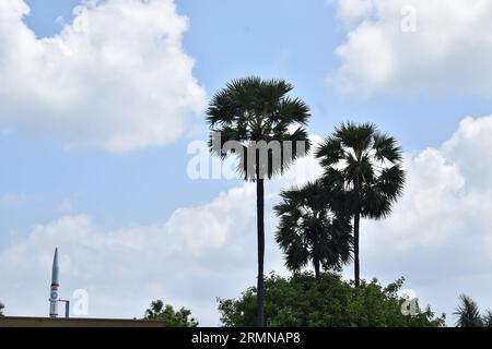 Dr. APJ Abdul Kalam Memorial India Stockfoto