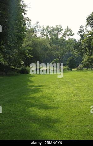 Ein fantastischer, weitläufiger Rasen, umgeben von hellen, grünen Sommerbäumen. Stockfoto