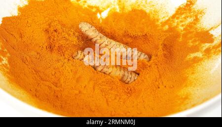 Kurkuma, Kurkuma longa, Wurzel fällt auf Kurkuma Pulver, indische Gewürze Stockfoto