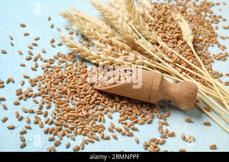 Weizenohren mit Körnern und Holzlöffel auf blauem Hintergrund Stockfoto
