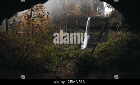 Silver Falls State Park Stockfoto