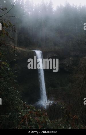 Silver Falls State Park Stockfoto