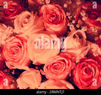 Großer Blumenstrauß mit roten und rosafarbenen Rosen, Nahaufnahme Stockfoto