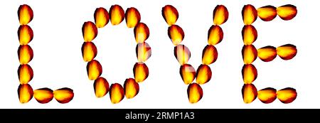 Die Liebe hat sich wunderschön und farbenfroh in süßen Rosenblättern auf weißem Hintergrund ausgedrückt., einfach zu extrahieren... Stockfoto