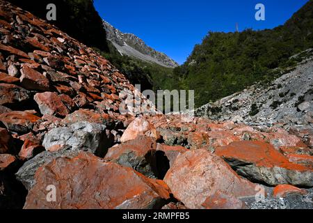 Die Roten Felsen der Otira Gorge, Westküste, Neuseeland. Dies wird durch Eisenoxid verursacht. Stockfoto