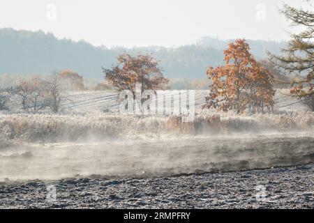 Nebel, der vor Kurzem auf gepflügten Feldern an einem frostigen oktobermorgen aufsteigt Stockfoto