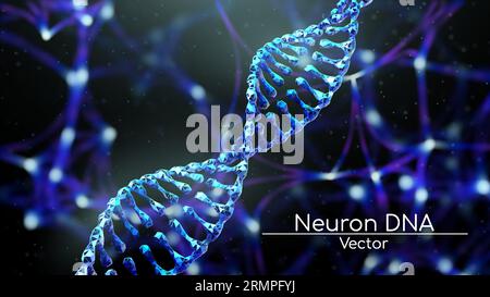 Abstraktes 3D polygonales Drahtmodell-DNA-Molekül auf dem Hintergrund von Hirnneuronen. Stock Vektor