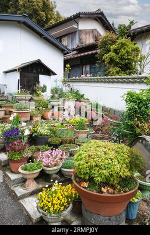 Japan, Kyushu, Präfektur Oita. Vegetation dekoriert Yard of House auf dem Weg zum Rakkanji Shinto Schrein. Stockfoto