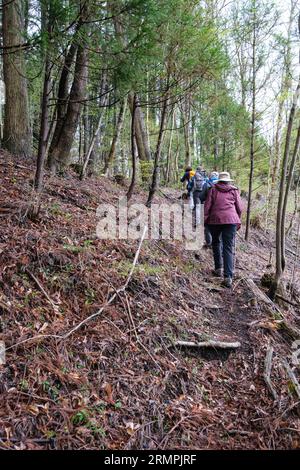 Japan, Kyushu. Wanderer auf dem Trail von Hita. Stockfoto