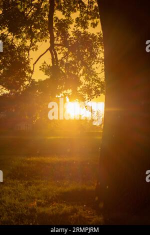 Starker Regen und Sonnenlicht neben dem Baum. Atemberaubende Aussicht auf die Regenzeit der Stadt. Sonnenuntergang bei Regenwetter. Herbststimmung Stockfoto