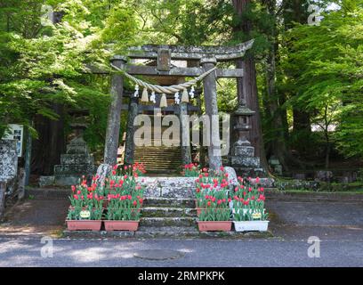 Japan, Kyushu. Torii-Tor mit Shimenawa-Seil und Schieferpapier-Streamern, Ninomiya Hachiman Shinto-Schrein. Stockfoto