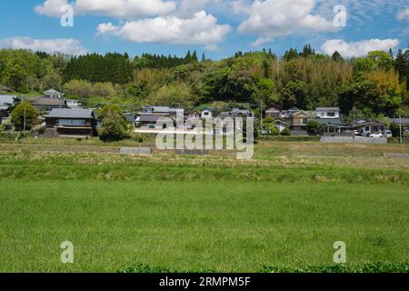 Japan, Kyushu, Bezirk Bungo Ono. Bewässerte landwirtschaftliche Felder und Häuser. Präfektur Oita. Stockfoto