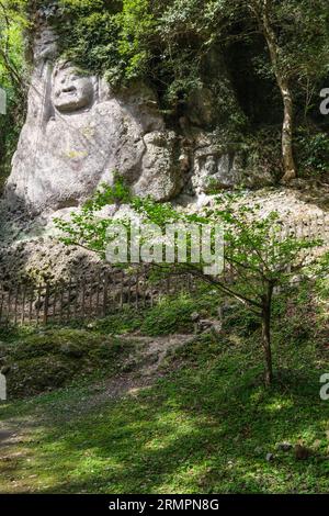 Japan, Kyushu. Kumano Magaibutsu, buddhistische Steinreliefschnitzereien von Fudo-Myo (12.-14. Jahrhundert). Präfektur Oita, Halbinsel Kunisaki. Stockfoto