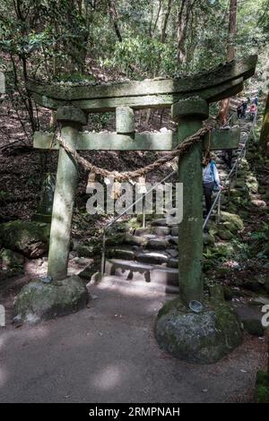 Japan, Kyushu. Torii-Tor und Shimenawa-Seil am Anfang der Steintreppe, die zu den buddhistischen Steinreliefschnitzereien Kumano Magaibutsu führt. Präfektur Oita. Stockfoto