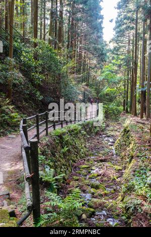 Japan, Kyushu. Pfad führt zu den buddhistischen Steinreliefschnitzereien Kumano Magaibutsu. Präfektur Oita. Stockfoto