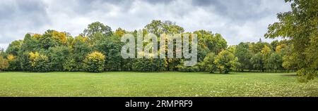 Farbenfrohe Panorama-Landschaft des Herbstparks auf dramatischem Hintergrund mit dunklem Himmel. Stockfoto
