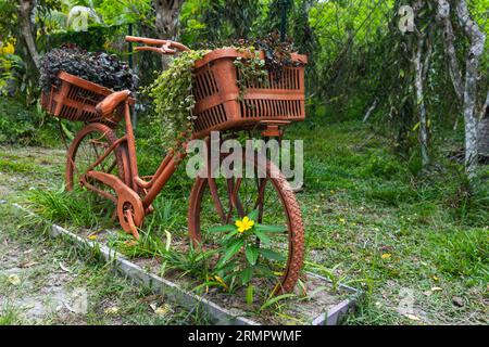 Altes Fahrrad mit Körben mit Topfpflanzen, Nahaufnahme. Dekorationsobjekt parken Stockfoto