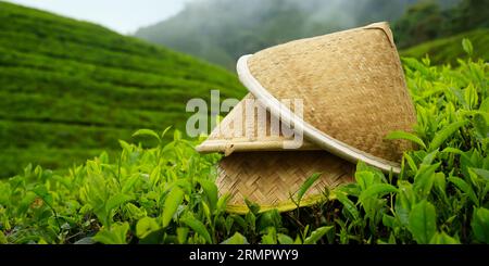 Bambushut liegt auf Tee in cameron Highlands, in Malaysia Stockfoto