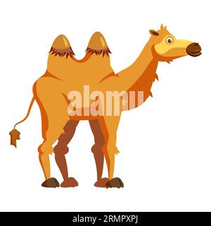 Kamel, zweibuckeliges, afrikanisches Tier. Vektor-Illustration Cartoon-Stil Stock Vektor